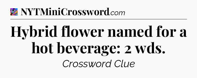 Hybrid flower named for a hot beverage: 2 wds Crossword Clue