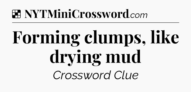 Solution: Forming clumps, like drying mud - NYT Crossword