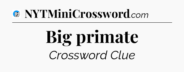 Big primate Crossword Clue