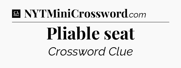 Pliable seat - LA Times Crossword