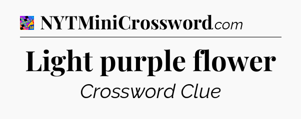 Light purple flower Crossword Clue