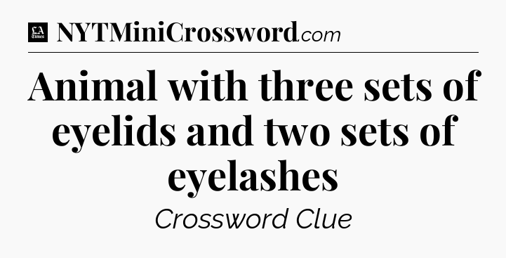 Animal with three sets of eyelids and two sets of eyelashes - LA Times Crossword