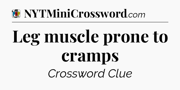 Leg muscle prone to cramps Crossword Clue