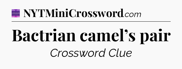Bactrian camel’s pair - Thomas Joseph Crossword