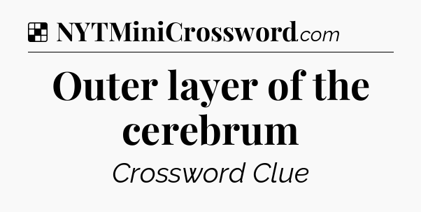 Solution: Outer layer of the cerebrum - NYT Crossword