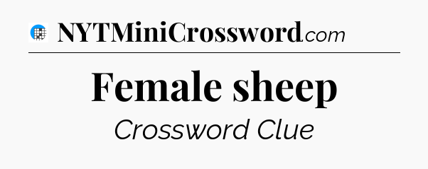 Female sheep Crossword Clue