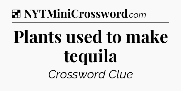 Solution: Plants used to make tequila - NYT Crossword