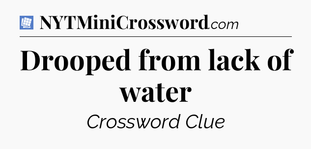 Drooped from lack of water Puzzle Page Crossword Clue