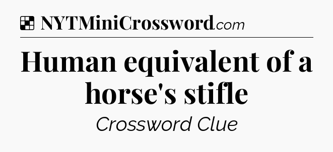 Solution: Human equivalent of a horse's stifle - NYT Crossword