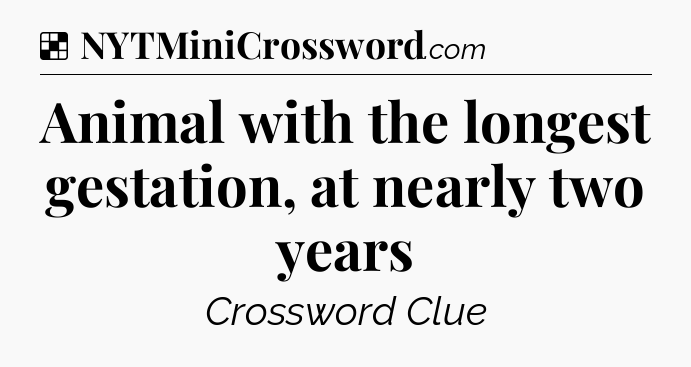 Solution: Animal with the longest gestation, at nearly two years - NYT Crossword