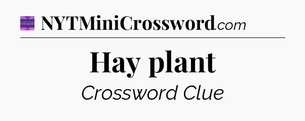 Hay plant - Thomas Joseph Crossword