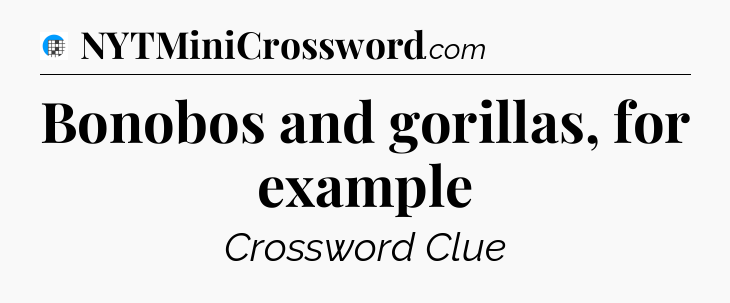 Bonobos and gorillas, for example Crossword Clue
