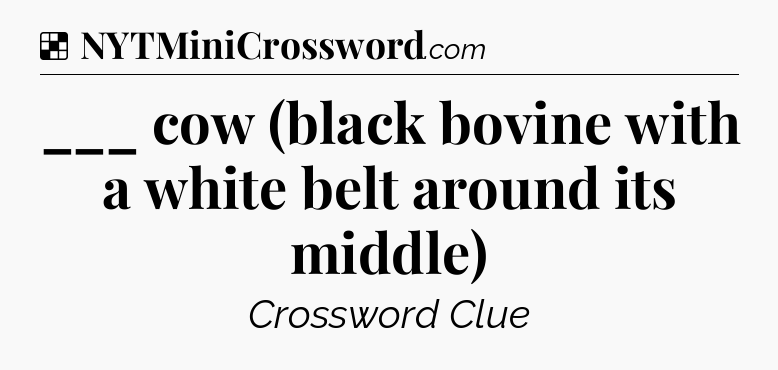 Solution: ___ cow (black bovine with a white belt around its middle) - NYT Crossword