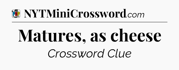 Matures, as cheese Crossword Clue