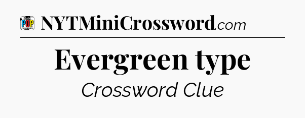 Evergreen type Crossword Clue