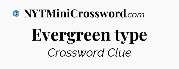 Evergreen type Crossword Clue