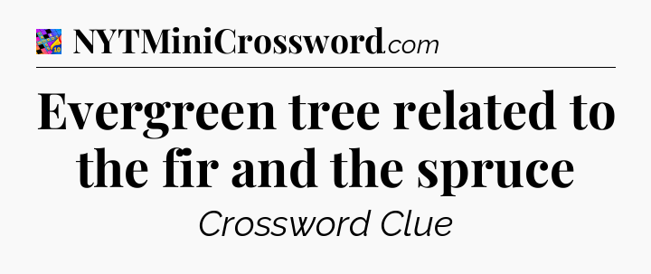 Evergreen tree related to the fir and the spruce Crossword Clue