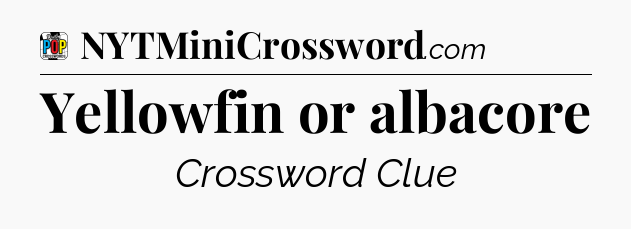 Yellowfin or albacore Crossword Clue