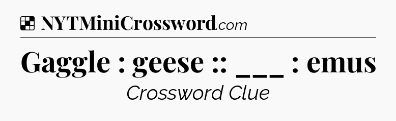 Solution: Gaggle : geese :: ___ : emus - NYT Crossword