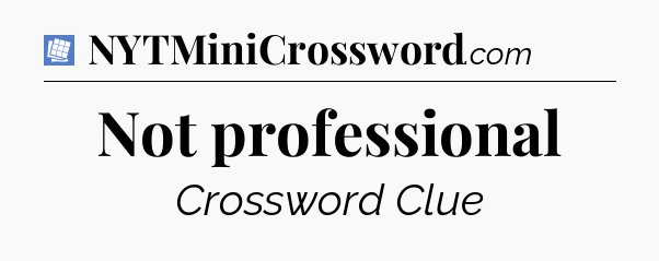 Not professional Puzzle Page Crossword Clue