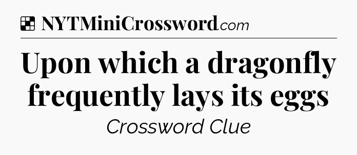 Solution: Upon which a dragonfly frequently lays its eggs - NYT Crossword