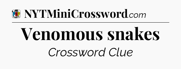 Venomous snakes Crossword Clue