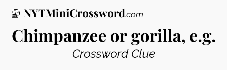 Chimpanzee or gorilla, e.g - Daily Themed Classic Crossword