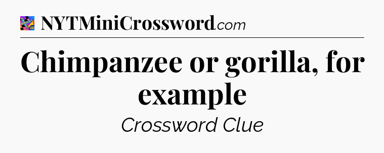 Chimpanzee or gorilla, for example Crossword Clue