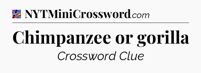 Chimpanzee or gorilla Crossword Clue