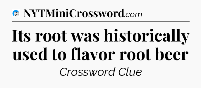 Its root was historically used to flavor root beer Crossword Clue