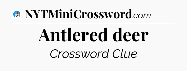 Antlered deer Crossword Clue