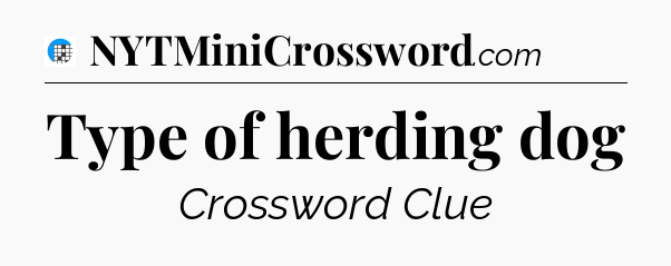 Type of herding dog Crossword Clue