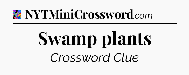 Swamp plants Crossword Clue