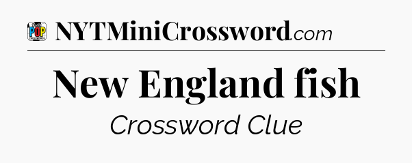 New England fish Crossword Clue