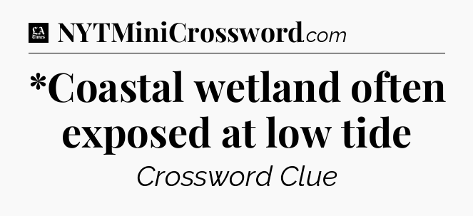 *Coastal wetland often exposed at low tide - LA Times Crossword