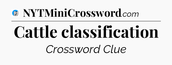 Cattle classification Crossword Clue