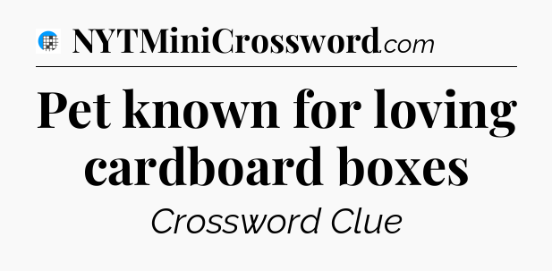 Pet known for loving cardboard boxes Crossword Clue