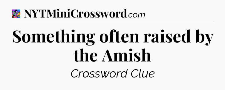 Something often raised by the Amish Crossword Clue