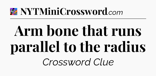 Arm bone that runs parallel to the radius Crossword Clue