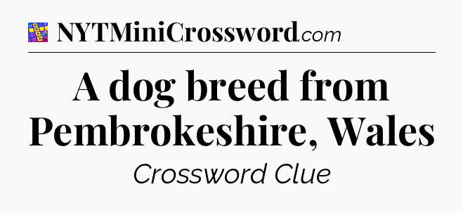 A dog breed from Pembrokeshire, Wales Codycross