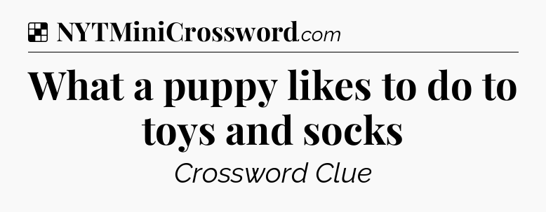 Solution: What a puppy likes to do to toys and socks - NYT Crossword