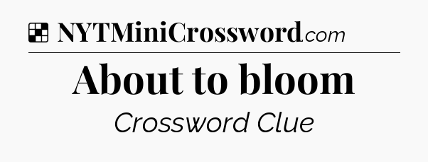 Solution: About to bloom - NYT Crossword