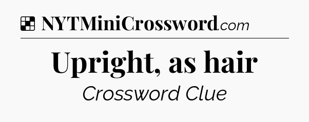 Solution: Upright, as hair - NYT Crossword