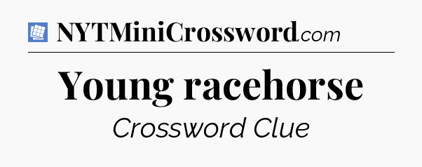 Young racehorse Puzzle Page Crossword Clue