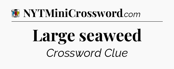 Large seaweed Crossword Clue