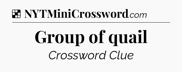 Solution: Group of quail - NYT Crossword