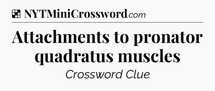 Solution: Attachments to pronator quadratus muscles - NYT Crossword