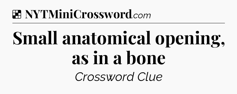 Solution: Small anatomical opening, as in a bone - NYT Crossword
