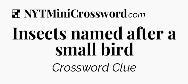 Solution: Insects named after a small bird - NYT Crossword