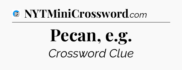 Pecan, e.g Crossword Clue